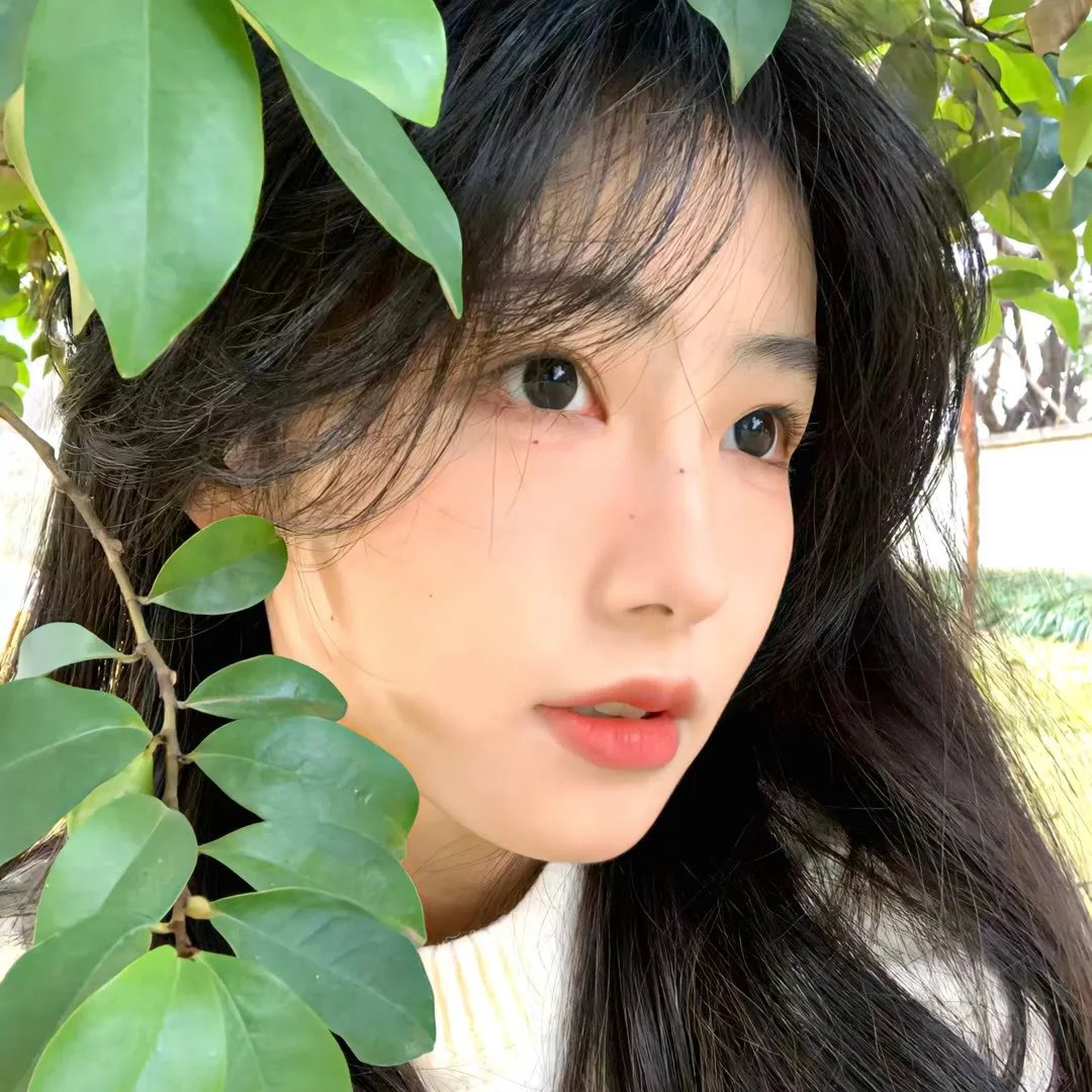 不朽真情